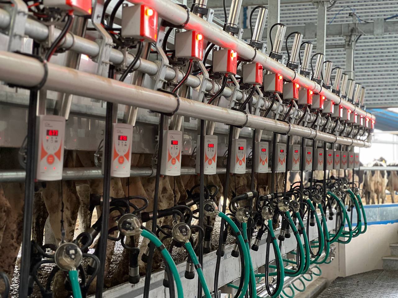 شیردوش ثابت ایگل