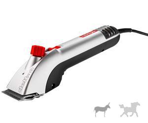 مو زن اسب برند هاینیگر سوییس