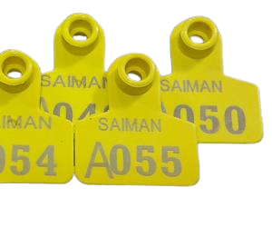 پلاک لیزری گردن جوجه شترمرغ مدل آدمک